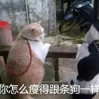 欲视频 欲视频为了更准确地帮助您