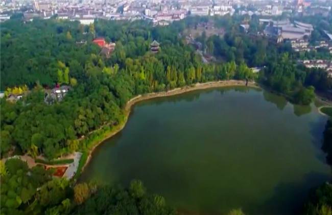 小阿寸 小说中的小阿寸角色