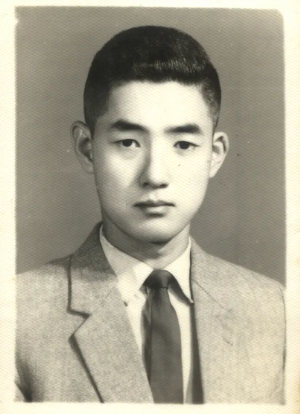 成视频 成视频故事短片等）