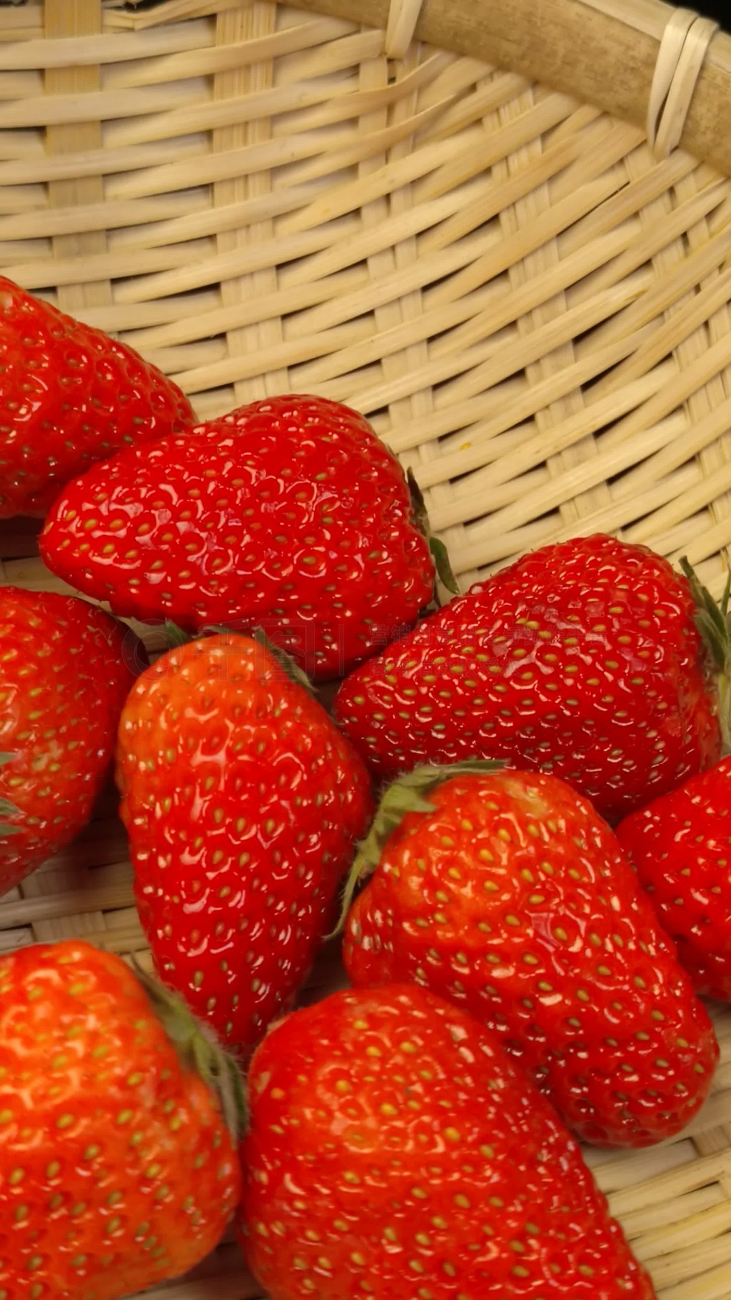 精神视频在线观看 优酷等正版平台观看