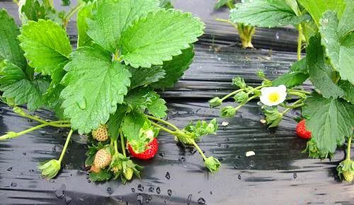 欧美高清色视频 欧美高清高清对不起