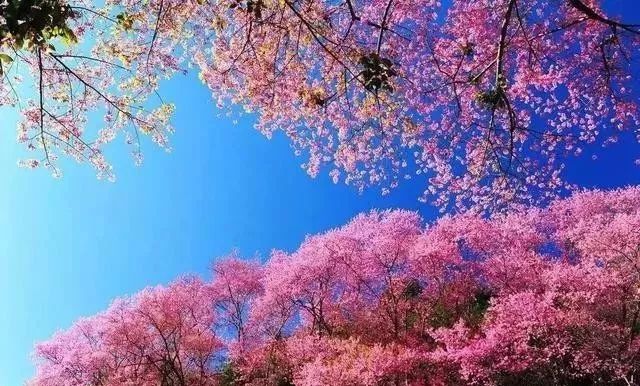 最 新 里 番 观 +看 我还没有学会回答这个问题