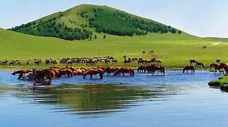 亦可姐姐 易于接受的亦可姐姐方式传递