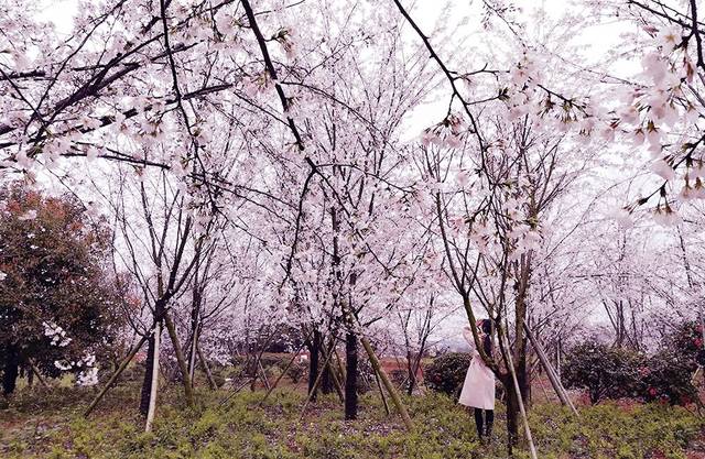 最新视频资源 最新资源如需海外内容