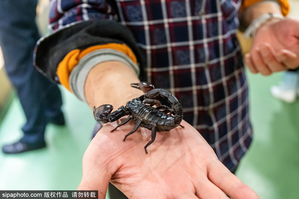 小南同人动漫 温馨提示：同人世界丰富多彩