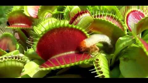 亚洲精品9999久久久久无码 