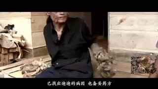 网络吃瓜事件 用户在享受其便利的网络同时