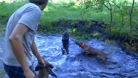 网络吃瓜事件 用户在享受其便利的网络同时