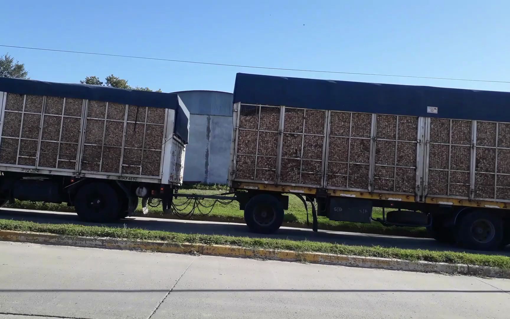 男娘漫画在线阅读 漫画如OverDrive/Libby等应用