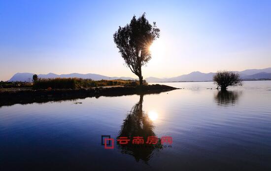 51暗网官方入口登录