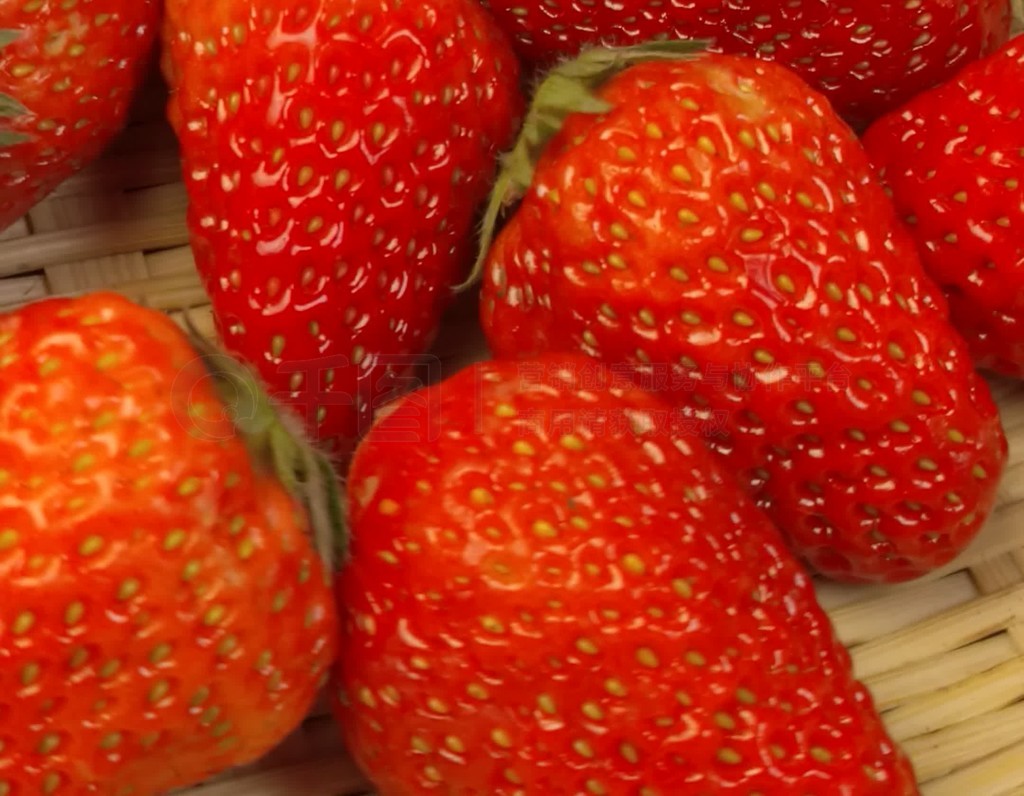 思思久久er99精品婷婷 