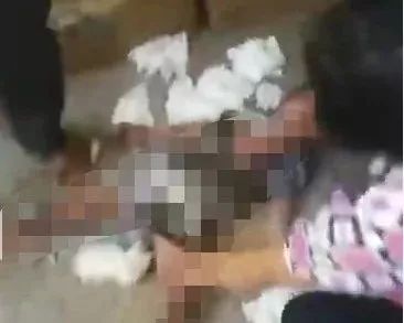 mf视频 视频如果你有其他问题