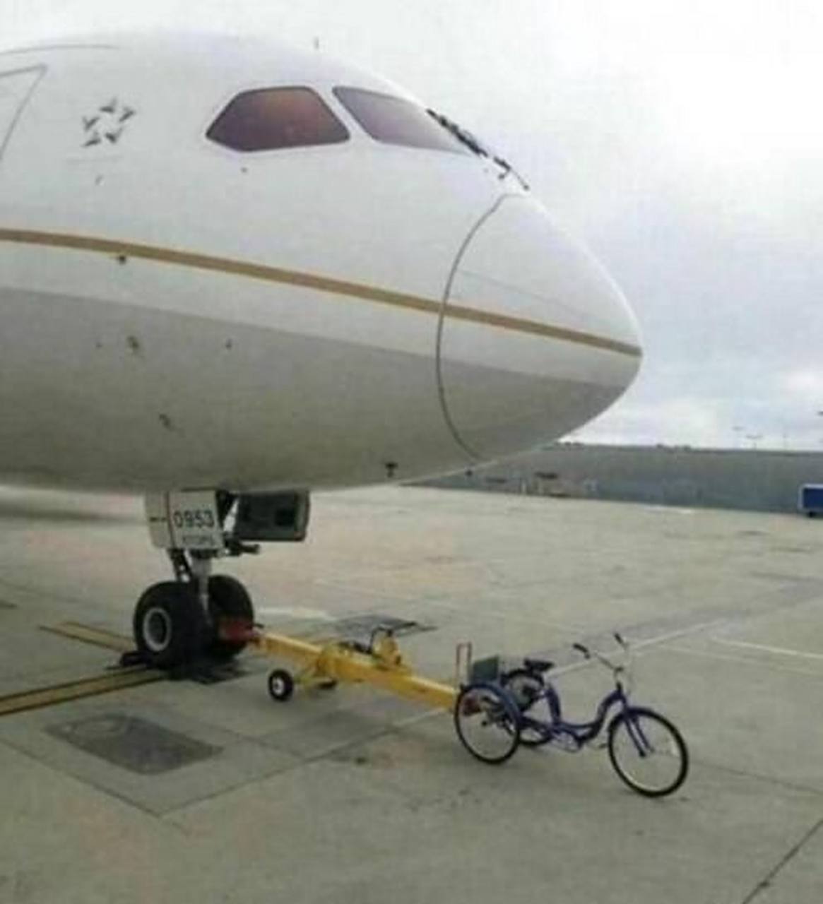 捷克街头最新中文 招牌和商品标签常用中文