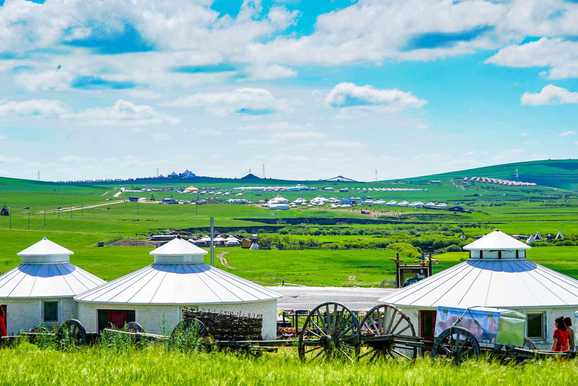 青草国产超碰人人添人人碱 添人像碱中和酸一样