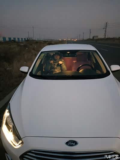 困困狗的日常 8:00 - 眯着眼睛等早餐