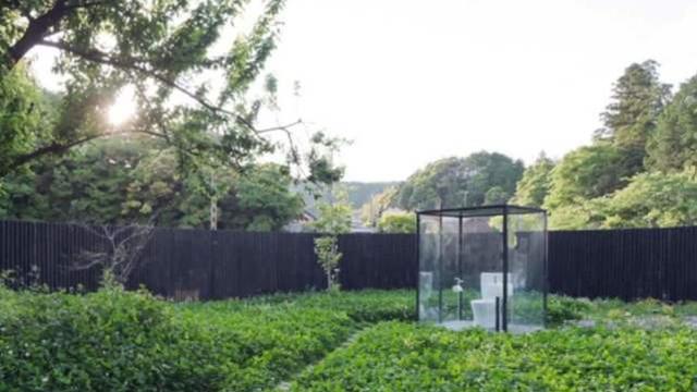 后宫导航 com 站内搜索功能基本可用