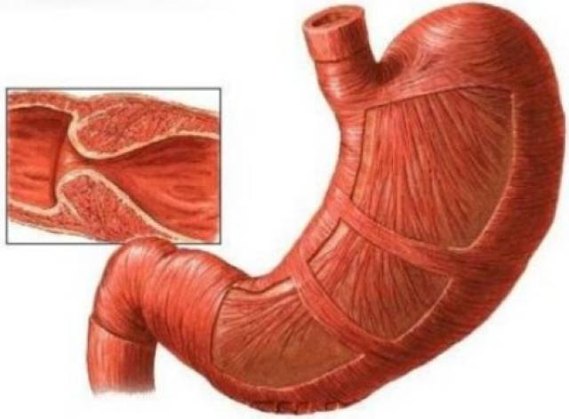 亚洲精品第一综合网站 