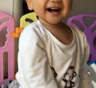 琢木鸟 保护现状多数啄木鸟种类无危