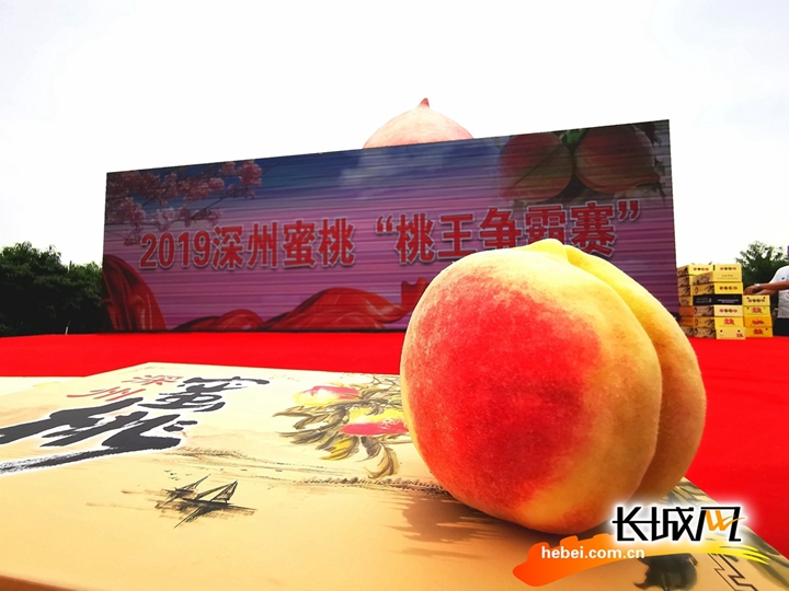 国内精品在线观看