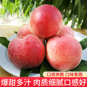 视频有剧情类 视频美术等综合手段