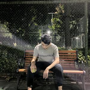 国产欧美理论 真正原创性的国产理论成果