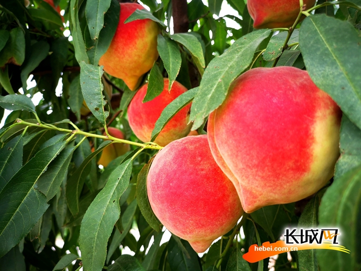 亚洲自拍图片区 自拍我非常乐意为你提供帮助