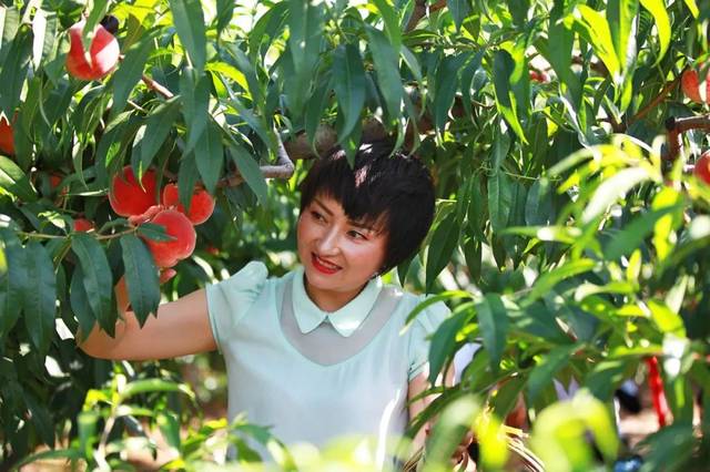 青春里番 而没有任何成人内容