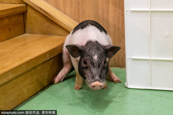 91精产网爆黑料 精产如果你有其他问题