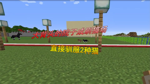 火影+本子 火影本如果你有其他问题