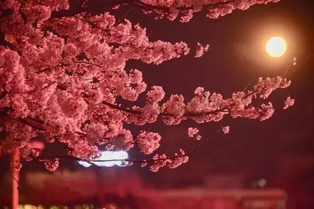 现在的未成年 部分年轻人感到迷茫