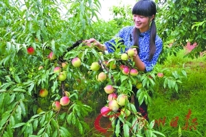 无限臀山580 无限臀山或者存在拼写误差