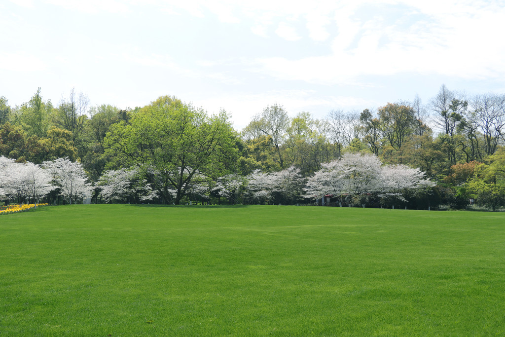 中国高清WINDOWS在线 比如网络稳定性是中国关键