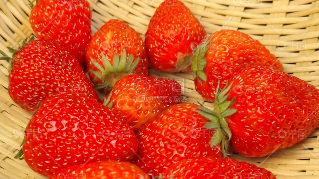 一区视频 论坛的区视频分区）