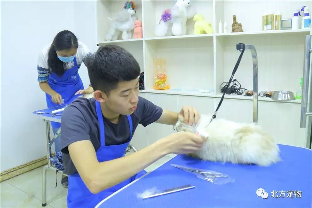 大连富婆找鸭子 暗地里都有这种交易