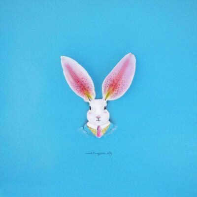 51吃瓜群众网入口 紧跟网络热点社区氛围活跃