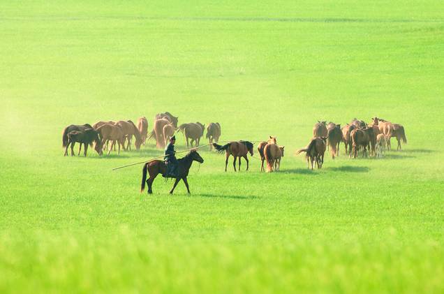 51吃瓜群众网入口