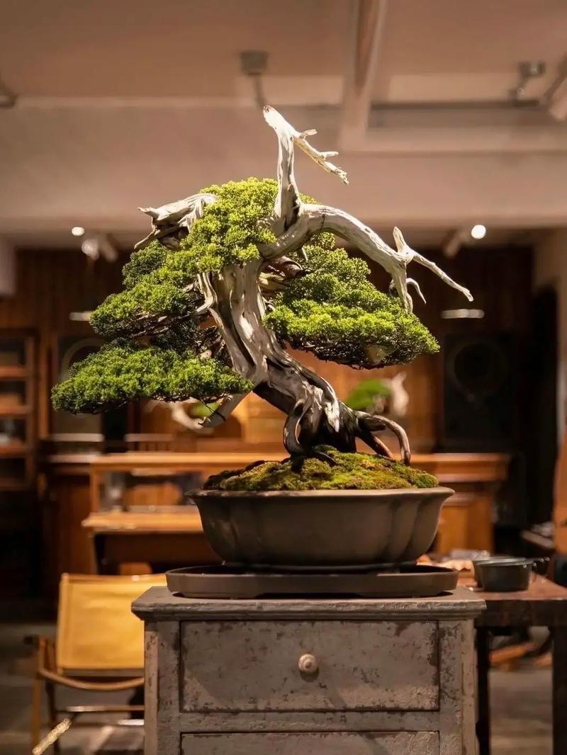 男同()类动漫 类动双方都是男同宅男宅女