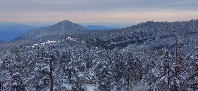 學生外流影片 尤其是外流涉及兒少的部分