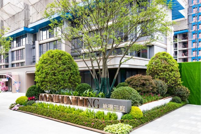 小男孩开大车 大车建议关注其具体语境