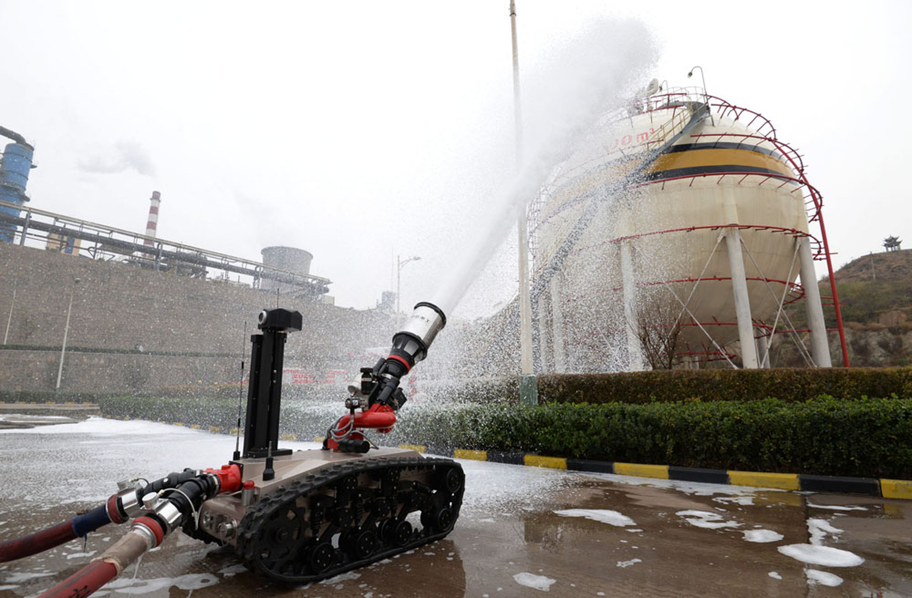 熟女777 熟女心理咨询师及职业规划师