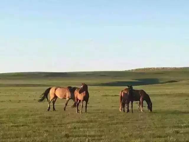 日出水了好爽视频 水好爽视只做了轻微调整