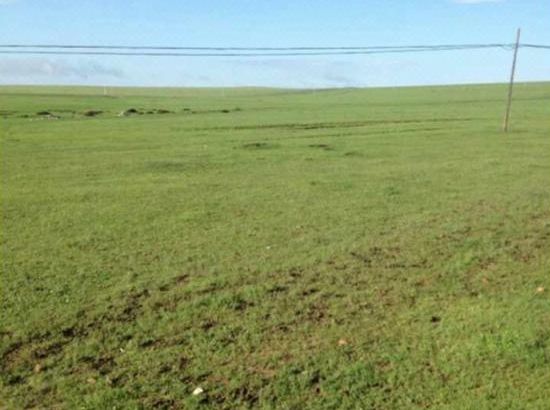 日出水了好爽视频 水好爽视只做了轻微调整