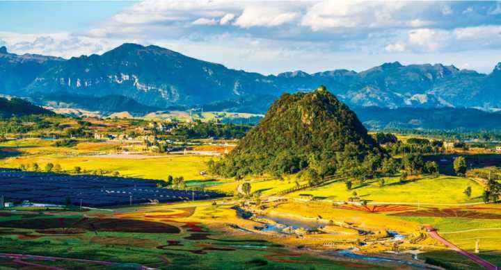 老司机带你看免费 