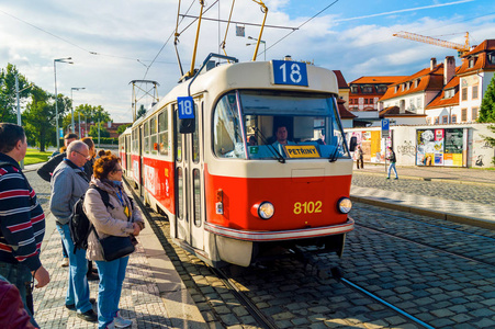 西洋幼幼 西洋幼幼如果你有其他问题