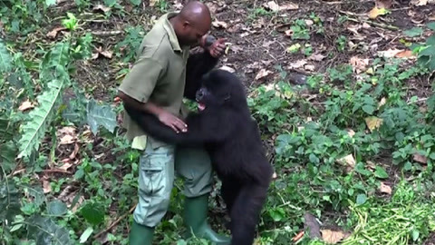 捷克街边 捷克街边夜晚充满年轻活力