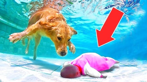 无限盤山 循环与攀登的无限盤山思考