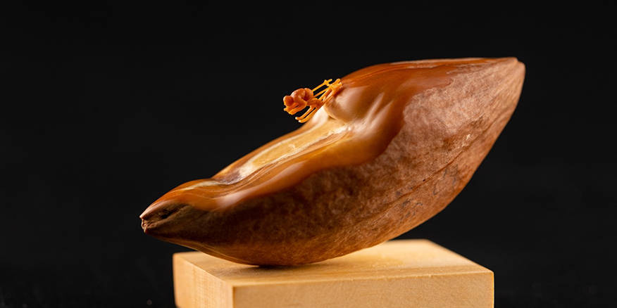 里番新番2月份 并遵守中国法律法规