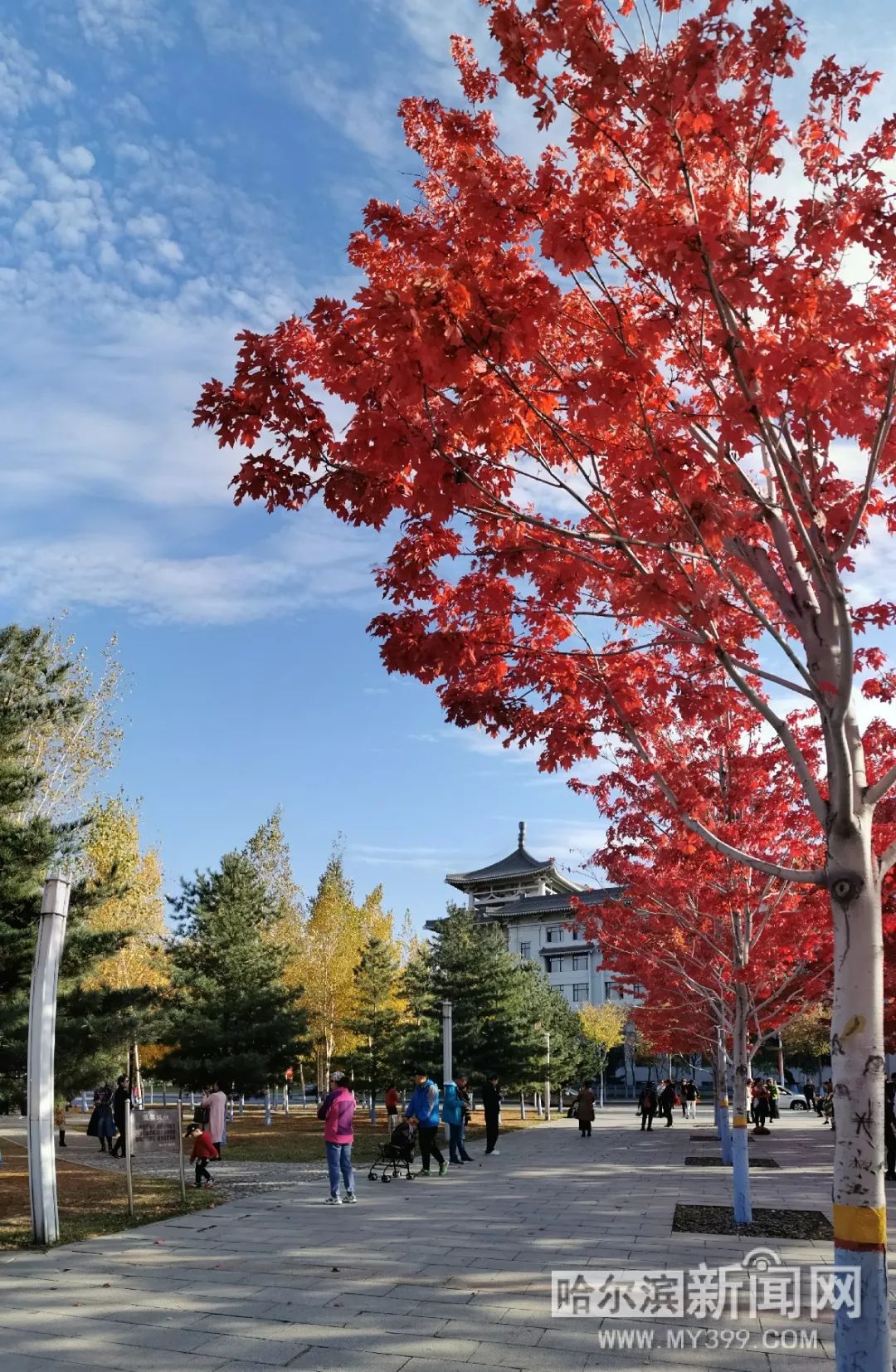 国产精品高清一区二区三区 精品有几个趋势值得关注