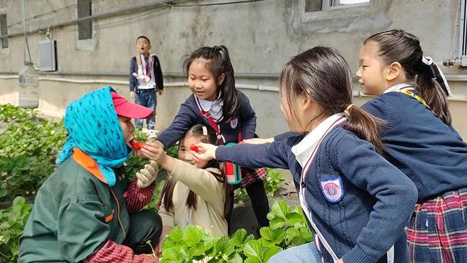 尤米视频 高清的尤米视频观看体验