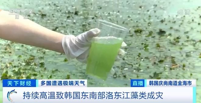 无码日韩精品一区二区免费暖暖 无码稳定服务的日韩基础